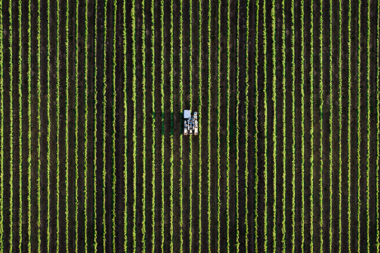 Resil: Fulvic acid biostimulant with CE certification!